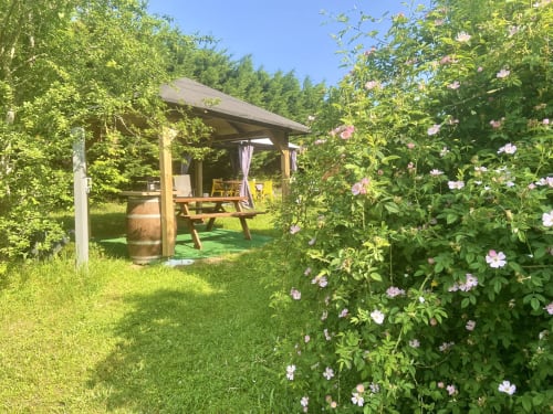 Jardin - Chambres d’hôtes Ô Clair de Lune 