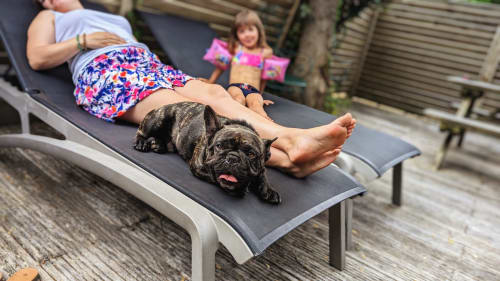 Nos amis les chiens sont les bienvenus chez Nature et Océan. L'occasion de passer de vraies vacances en famille