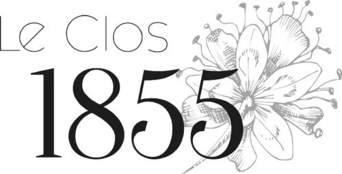 logo1