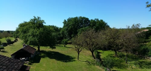 suite junior (2 adultes), jardin, vue