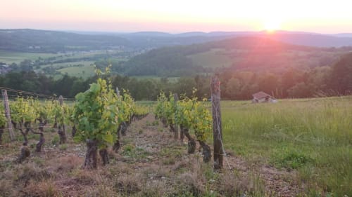 un apéro dans les vignes au coucher du soleil