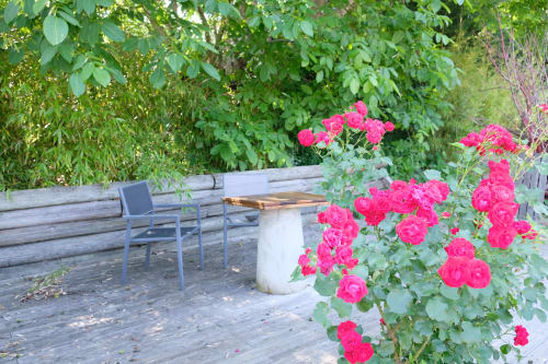 Jardin et patio extérieur de Lyon Campagne à Rontalon