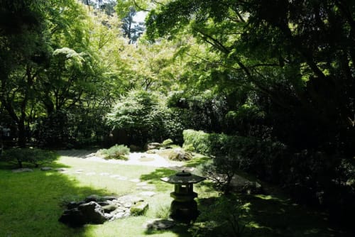 jardin, visite, promenade, vallée de chevreuse
