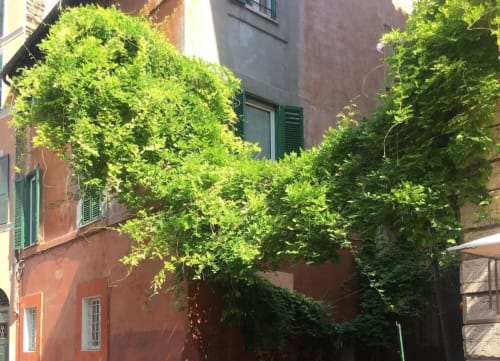 Affitta un Appartamento Elegante e Confortevole in Vicolo del Piede - Posizione Centrale e Stile Unico

Sei alla ricerca di un appartamento in affitto breve a Vicolo del Piede? Scopri il nostro incantevole appartamento, perfetto per chi cerca un soggiorno all'insegna del comfort e della comodità. Situato in una zona centrale, questo accogliente alloggio è ideale per turisti e professionisti che desiderano esplorare la città o vivere un'esperienza di soggiorno esclusiva.

Caratteristiche principali dell'appartamento:

Posizione centrale: A pochi passi dalle principali attrazioni turistiche, ristoranti e negozi.
Design moderno e funzionale: Arredato con gusto, con tutti i comfort necessari per un soggiorno rilassante.
Wi-Fi gratuito e TV a schermo piatto: Perfetto per chi ha bisogno di connettersi al lavoro o divertirsi.
Cucina attrezzata: Spazio perfetto per preparare pasti veloci o cene gourmet.
Letti comodi e spazi luminosi: Per un riposo ottimale dopo una giornata intensa di esplorazioni.
Ambiente tranquillo e riservato: Lontano dal caos cittadino, ma nel cuore pulsante della città.
Non perdere l'opportunità di soggiornare in uno dei quartieri più affascinanti della città. Prenota ora il tuo soggiorno a Vicolo del Piede e vivi un'esperienza unica!