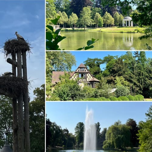 PROCHE JARDIN ORANGERIE, TOURISME, ALSACE, JARDIN DE L'ORANGERIE