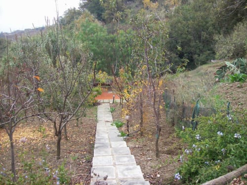 Il giardino in Autunno