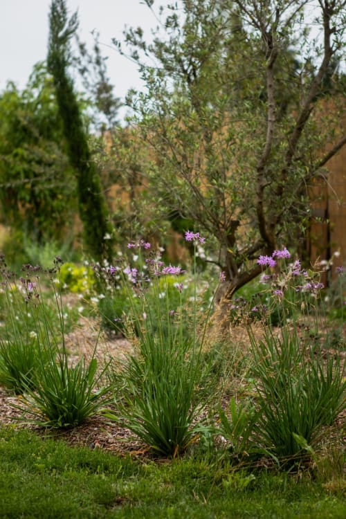 L'Atelier Tiny House - Nature provençale. Alpilles.
