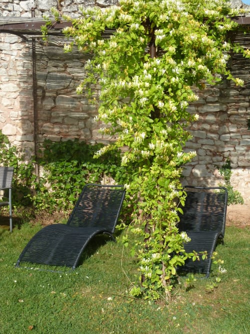 Pérgola cubierta de flores y enredaderas con dos tumbonas negras en los jardines del Château De Clusors, ST MENOUX
