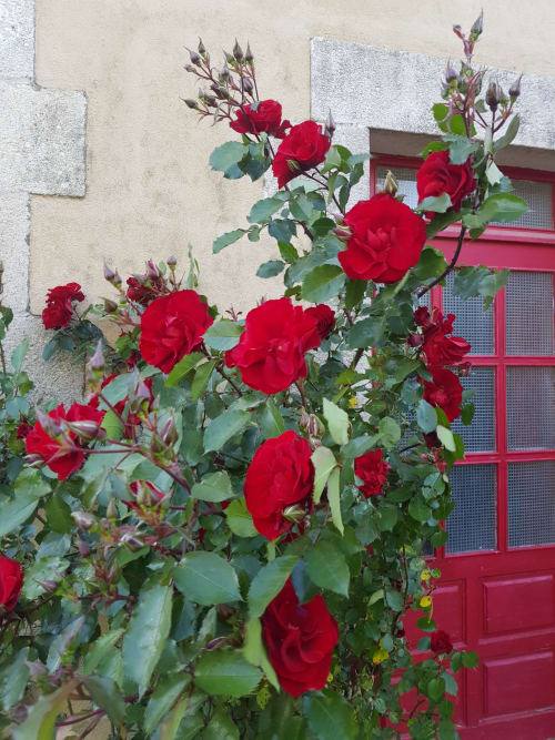 Le hameau de Leignoua, chambres d'hôtes, Le Saint, Morbihan, Bretagne