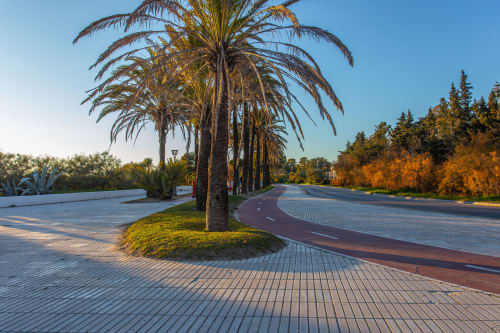 Paseo arbolado de palmeras con camino curvo pavimentado en los jardines de Wehost Costaluz, Puerto Santa María, bajo un cielo azul despejado