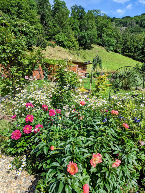 Espace Spa Jacuzzi entrée et terrasse privative, jardin privatif, grand lit double, lumineuse, bordée d'un torrent directement sur la terrasse, vue direct sur la nature, sans voisins, en Aubrac, grand lit double, chambres, hotel en Aubrac , en Aveyron, coin bureau, télétravail, tv et wifi haut débit, salle de bain douche à l'italienne refaite en 2023,  4 personnes.  Espace barbecue frigo réfrigérateur viande d' Aubrac  Chambre cocooning tranquille, vue sur la nature, et torrent d'Aubrac en Aveyron séjour chambre d'hôtes aubrac Aveyron nature 12 neige ski hotel hébergement authentique plateau aubrac randonnée éco écologique hôtels atypique, montagne campagne original logement rivière truites vaches buron laguiole nasbinals cascade du deroc transhumance original.repas pension Plateau dinatoire pour deux personnes petit déjeuner
