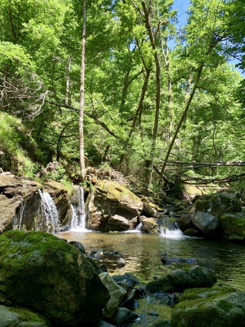 Espace Spa Jacuzzi entrée et terrasse privative, jardin privatif, grand lit double, lumineuse, bordée d'un torrent directement sur la terrasse, vue direct sur la nature, sans voisins, en Aubrac, grand lit double, chambres, hotel en Aubrac , en Aveyron, coin bureau, télétravail, tv et wifi haut débit, salle de bain douche à l'italienne refaite en 2023,  4 personnes.  Espace barbecue frigo réfrigérateur viande d' Aubrac  Chambre cocooning tranquille, vue sur la nature, et torrent d'Aubrac en Aveyron séjour chambre d'hôtes aubrac Aveyron nature 12 neige ski hotel hébergement authentique plateau aubrac randonnée éco écologique hôtels atypique, montagne campagne original logement rivière truites vaches buron laguiole nasbinals cascade du deroc transhumance original.repas pension Plateau dinatoire pour deux personnes petit déjeuner