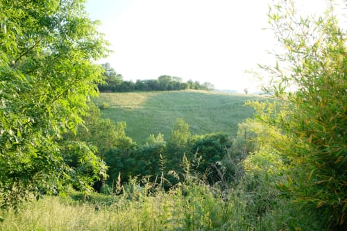 Un moment charmant dans la campagne sur les monts du lyonnais