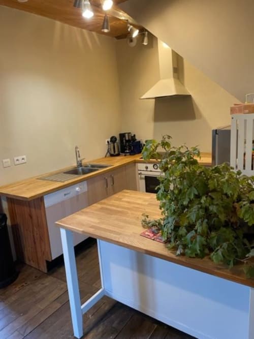 Modern kitchen with wooden counters, blue cabinetry, and potted plant at Domaine du Tertre Ychot