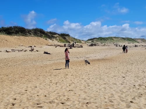 south west beach Capbreton Hossegor Seignosse