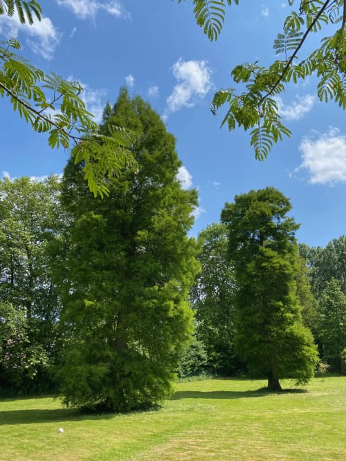 demeure de charme parc arboré campagne