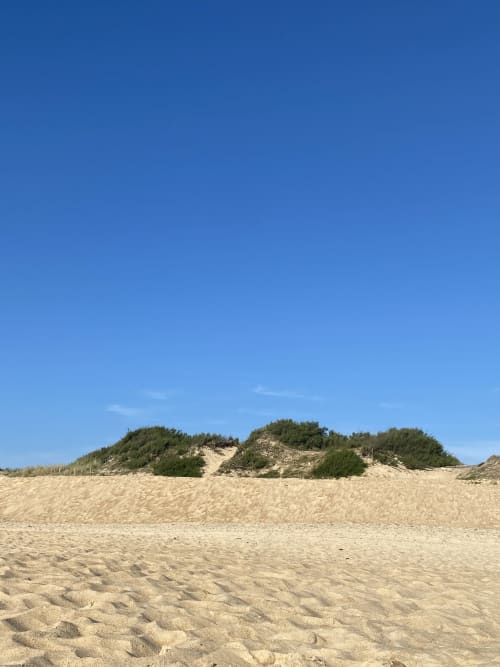 Seignosse Nature Plage Sable Océan