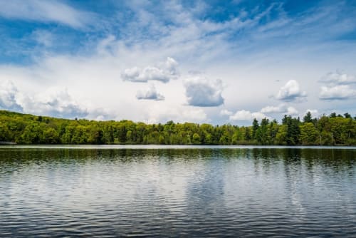 Le Parc de Saint Cloud
Véritable joyau de la nature et de l'histoire proche de Boulogne, ce parc de 460 hectares offre des paysages magnifiques, des jardins élégants et une atmosphère propice à la détente et à la contemplation. Que ce soit pour une promenade tranquille, un pique-nique en famille ou simplement pour profiter de la beauté de la nature, le parc de Saint-Cloud est un lieu incontournable à découvrir près de Paris.Les paris normands est un site internet (www.lesparisnormands.com) de location saisonnière à la nuit ou à la semaine d'appartements à Paris et à Villers-sur-mer, en Normandie près de Deauville, sans frais de plateforme Airbnb ou booking. Le duplex de la reine est un grand appartement en duplex pour 8 personnes situé à la limite de Paris, près de Roland Garros, et à 15mn de la Tour Eiffel et des Champs Elysées. 
Le bon pressoir et la terrasse Louvard sont 2 appartements proche de la plage de Villers-sur-mer en Normandie, près de Deauville.


