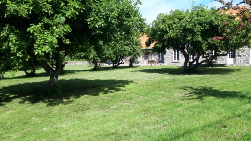 Lush green lawn with mature trees at Domaine De La Ronville, a French bed and breakfast retreat
