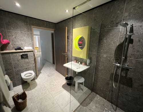 La salle de bain de notre suite junior est conçue pour offrir un confort optimal. Elle dispose d'une spacieuse douche à l'italienne, idéale pour une expérience de bain agréable. Un sèche-cheveux est également mis à votre disposition pour votre commodité. Cette salle de bain moderne et bien équipée est parfaite pour un séjour agréable et relaxant. PMR
