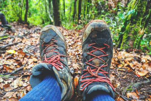 Perfect base for hiking and cycling trips