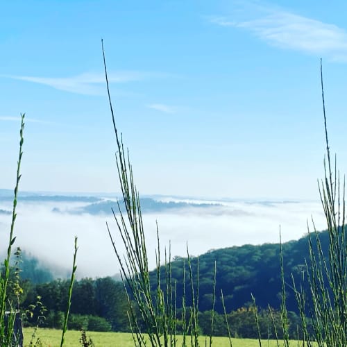 View of wooded hills from the lodge.