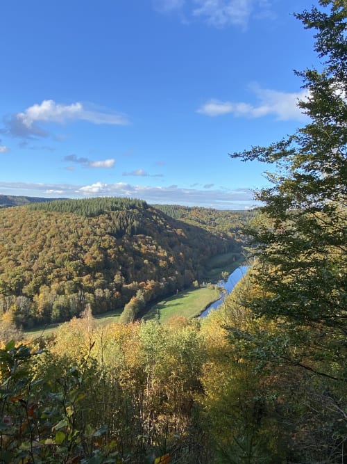 4 charming chalets in a natural setting