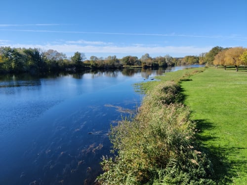 Prairie pittoresque au bord de la rivière au gîte La Croix De La Jarrie à Châtres, avec eaux calmes et arbres d'automne