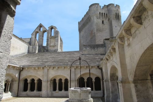 Abbaye de Montmajour  Mas 9 Romanin