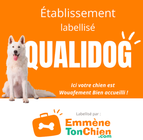 Chien blanc avec label Qualidog pour le gîte La Tour Blanche à Forest-Montiers