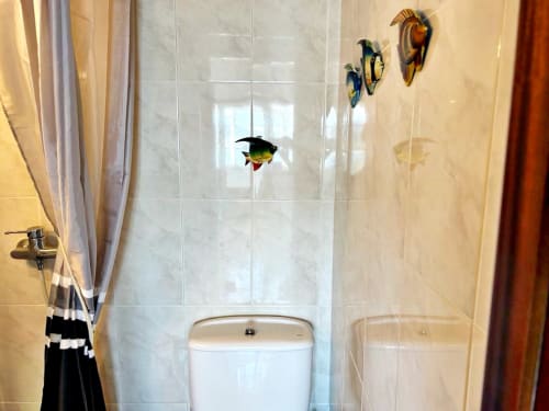 Baño moderno en apartamento de Baiona con azulejos decorativos de peces sobre inodoro y ducha de mármol
