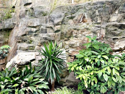 Muro de piedra con exuberante vegetación verde en el apartamento Holibai de Baiona, España