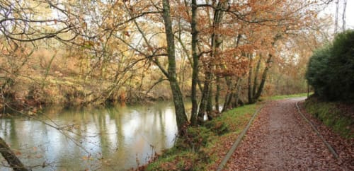 Entorno natural del río Tea a su paso por A Freixa, cerca de la casa de alquiler vacacional O Eido de Celia, en Guláns, Ponteareas, Galicia, con un sendero bordeado de árboles y hojas caídas, ideal para paseos junto al río