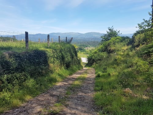 Camino rural rodeado de vegetación en los alrededores de la VUT 'O Eido de Celia' en Guláns, Ponteareas, Pontevedra. La imagen muestra un sendero de tierra bordeado por vallas cubiertas de enredaderas y arbustos, con vistas a las montañas al fondo. Este entorno natural invita a realizar caminatas y disfrutar de la tranquilidad y el paisaje gallego. Más información en www.oeidodecelia.com.
