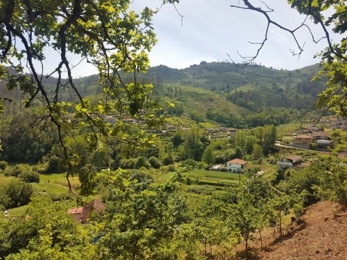 Vista panorámica del paisaje rural en los alrededores de la VUT 'O Eido de Celia' en Guláns, Ponteareas, Pontevedra. La imagen muestra un valle rodeado de montañas verdes, con pequeñas casas dispersas y campos de cultivo, todo bajo el marco de las ramas de los árboles en primer plano. Este entorno natural ofrece una experiencia de turismo rural en el corazón de Galicia, ideal para quienes buscan tranquilidad y contacto con la naturaleza. Más información en www.oeidodecelia.com.