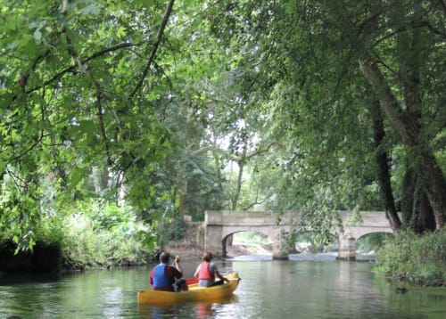 Kayakistes pagayant sur une rivière paisible sous des arbres verdoyants près de La Roche Guyon, région de Giverny