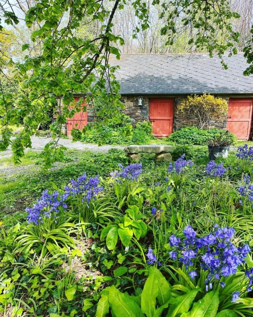 Stone cottage with red doors and purple iris flowers in garden at Domaine du Tertre Ychot, Dol de Bretagne