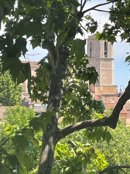 La vue des chambres "Provence" et "Tombouctou"