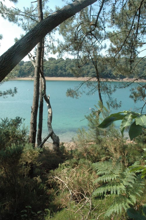 Estaire du Jaudy Île de Bréhat Paimpol