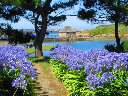 Ferienunterkunft mit privatem, überdachtem und beheiztem Pool, Ferienvermietung, Côtes d'Armor Bretagne, Perros Guirec, Tréguier, Trégastel, Paimpol.