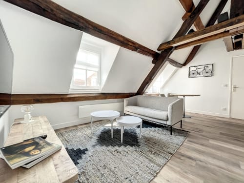 Appartement L'Authentique au Laurencin, appart’hôtel à Sens centre-ville. Cuisine équipée, wifi, linge, arrivée autonome, salon. Réservez en direct.