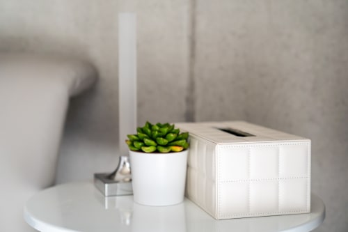 Elegante Badezimmerwaschtischschale im Le Pavillon M mit Sukkulente und weißem Taschentuchhalter