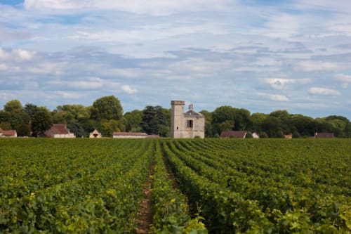 Le Laurencin est un appart’hôtel au cœur de Sens, aux portes de la Bourgogne : 15 appartements meublés tout équipés, dans un hôtel particulier, à deux pas de la cathédrale et proche de la gare.