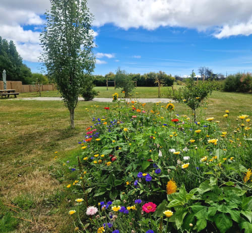 Le parc des maisons de Kerdavid île qui entoure les maisons en fleur été 2023 à belle île en mer