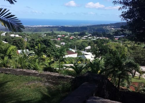 Vue pittoresque du gîte Case Vi D'O à La Plaine des Cafés, Réunion, surplombant une vallée luxuriante et l'océan lointain