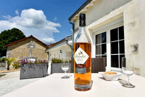 Dégustation de Cognac et Pineau des Charentes direct producteur