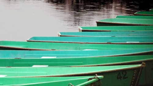 Green rowboats lined up on water near Au Gite d'Isigny B&B in Isigny-sur-Mer, France