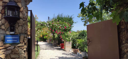 Maison d'hôtes Coeur d'hérault - Entrée