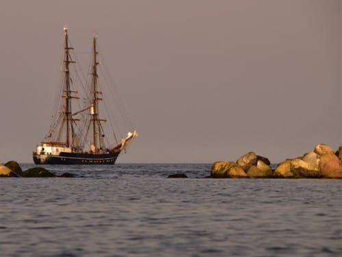Paysage île d'Yeu
