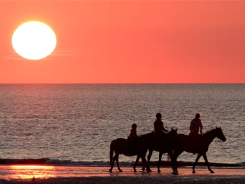 équitation île d'Yeu